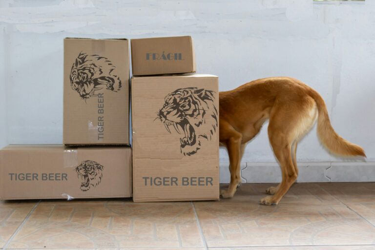 demenager animaux